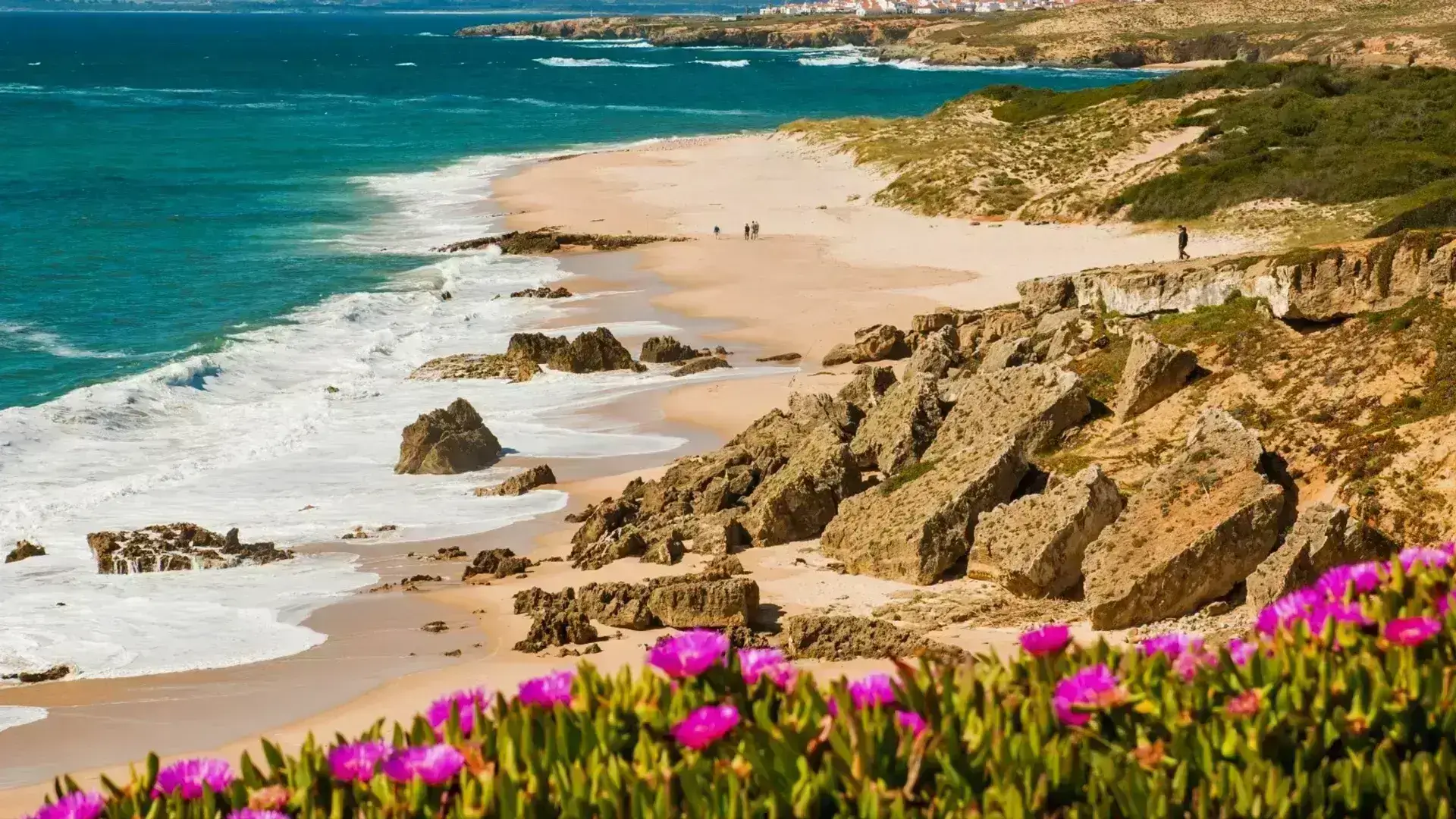 flores junto à praia